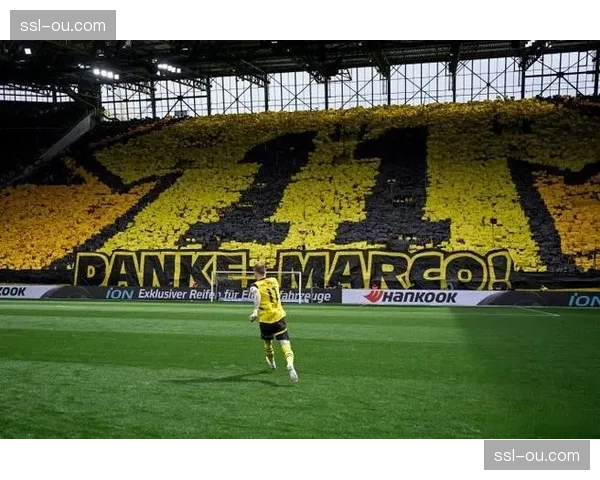 威斯特法伦南看台巨型TIFO亮相，多特蒙德主场气氛拉满