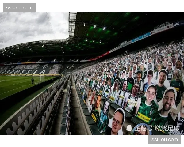 纪录片《我们的德甲》上映，讲述球迷社区故事