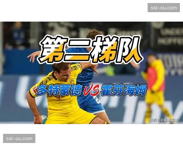 霍芬海姆2-1多特蒙德克拉马里奇点射破门